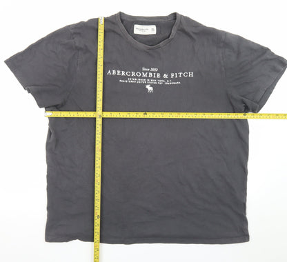 Abercrombie & Fitch Men's Black XXL Soft Crew Neck Graphic T-Shirt