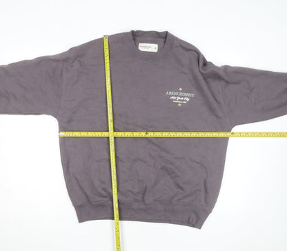 Abercrombie & Fitch Mens Grey Pullover Sweatshirt Size S Logo Fleece