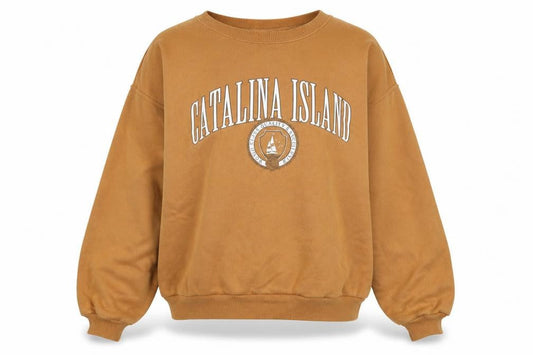 Hollister Women’s Brown Catalina Island Pullover Sweatshirt M Casual