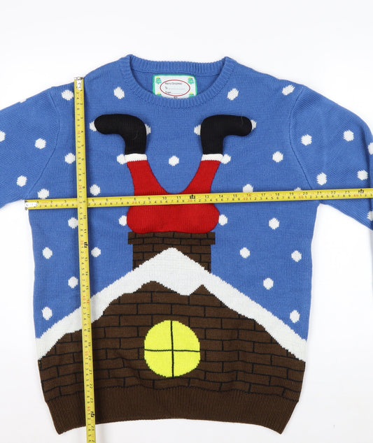 Cedar Wood State Men's Blue Christmas Jumper L Pullover Knit