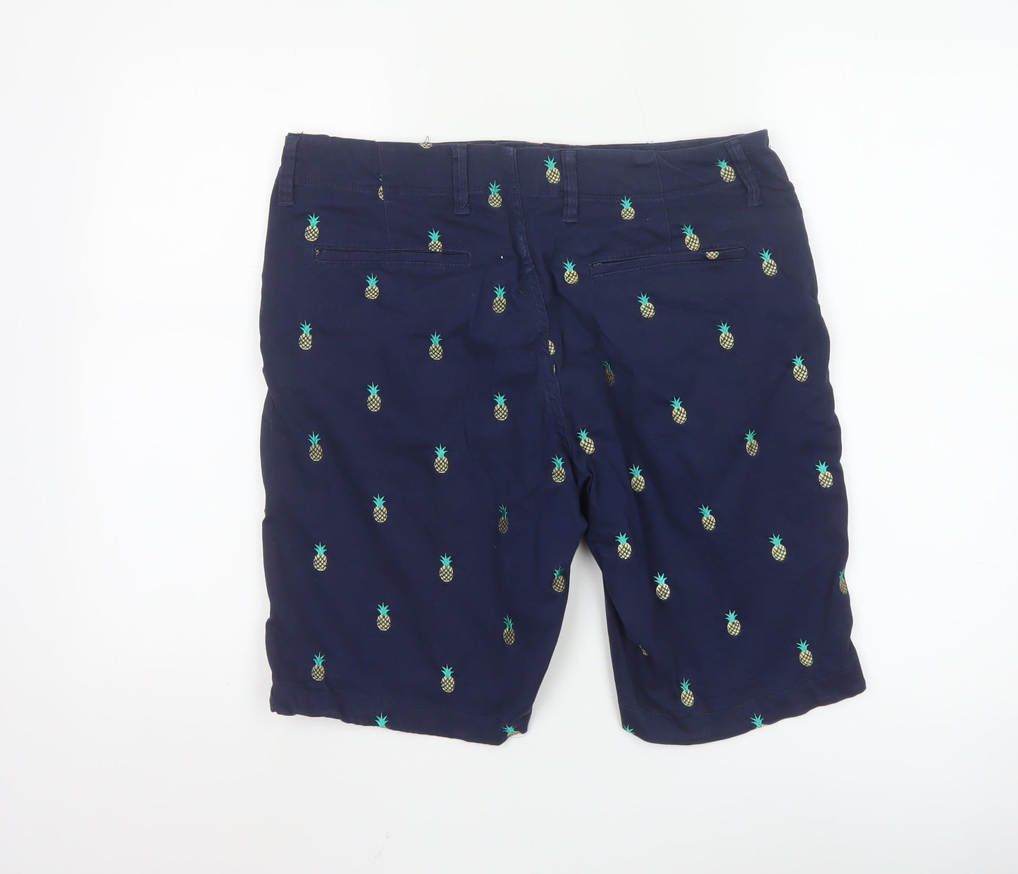 Cambridge Dry Goods Men's Blue Pineapple Embroidered Chino Shorts Size 34