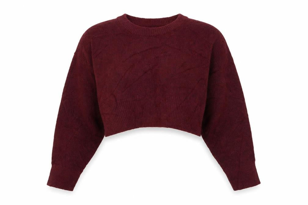 Front view of ASOS DESIGN Women Burgundy Crew Neck Cropped Jumper, size S, UK 8-10