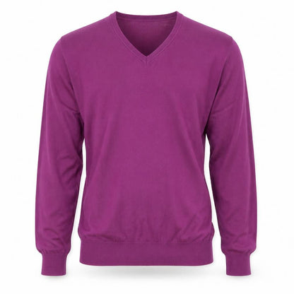 Charles Tyrwhitt Men's Purple M Merino Wool V-Neck Pullover Jumper