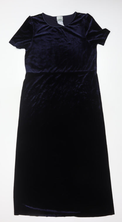 Nature's Smiley Women Blue L Long Velvet A-Line Dress