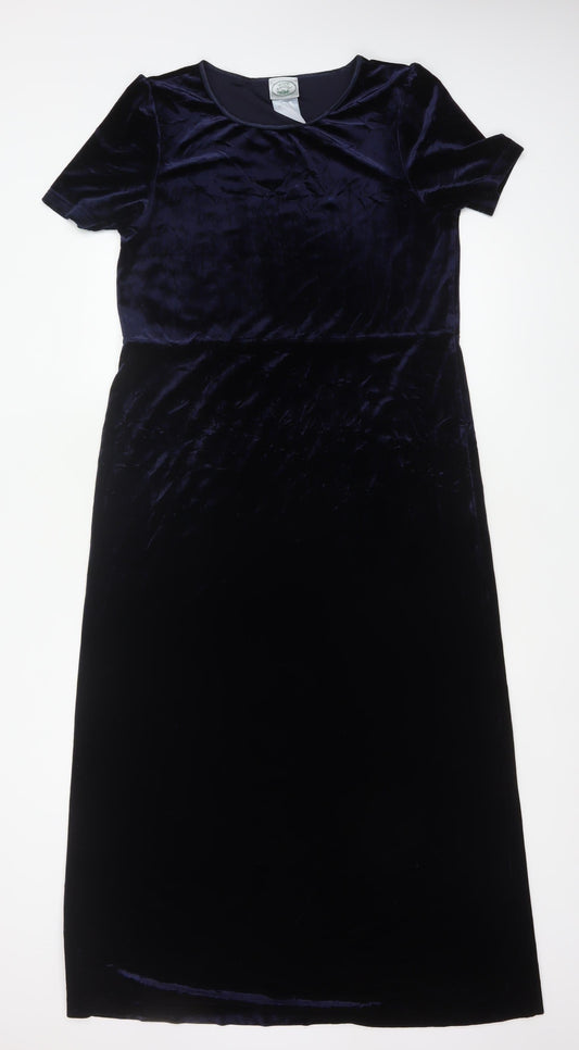 Nature's Smiley Women Blue L Long Velvet A-Line Dress
