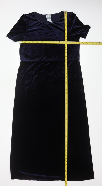 Nature's Smiley Women Blue L Long Velvet A-Line Dress