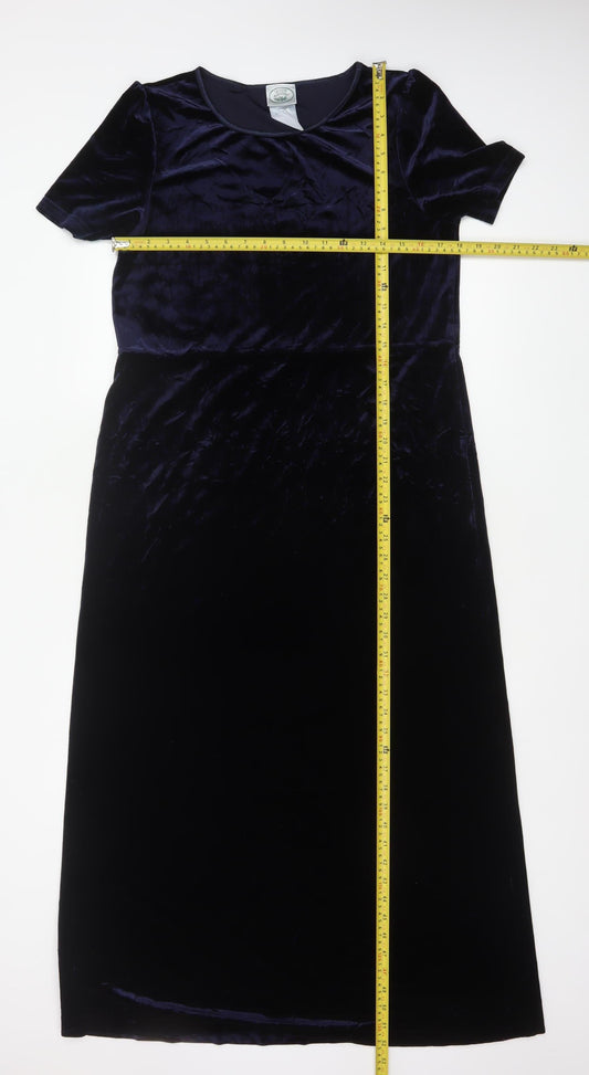 Nature's Smiley Women Blue L Long Velvet A-Line Dress