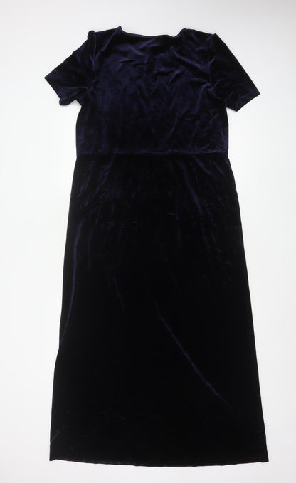 Nature's Smiley Women Blue L Long Velvet A-Line Dress