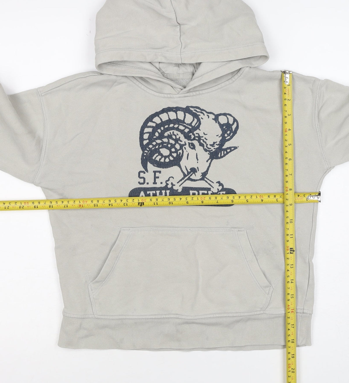 Gap Boys Beige Ram Graphic Pullover Hoodie 10-11 Years Fleece