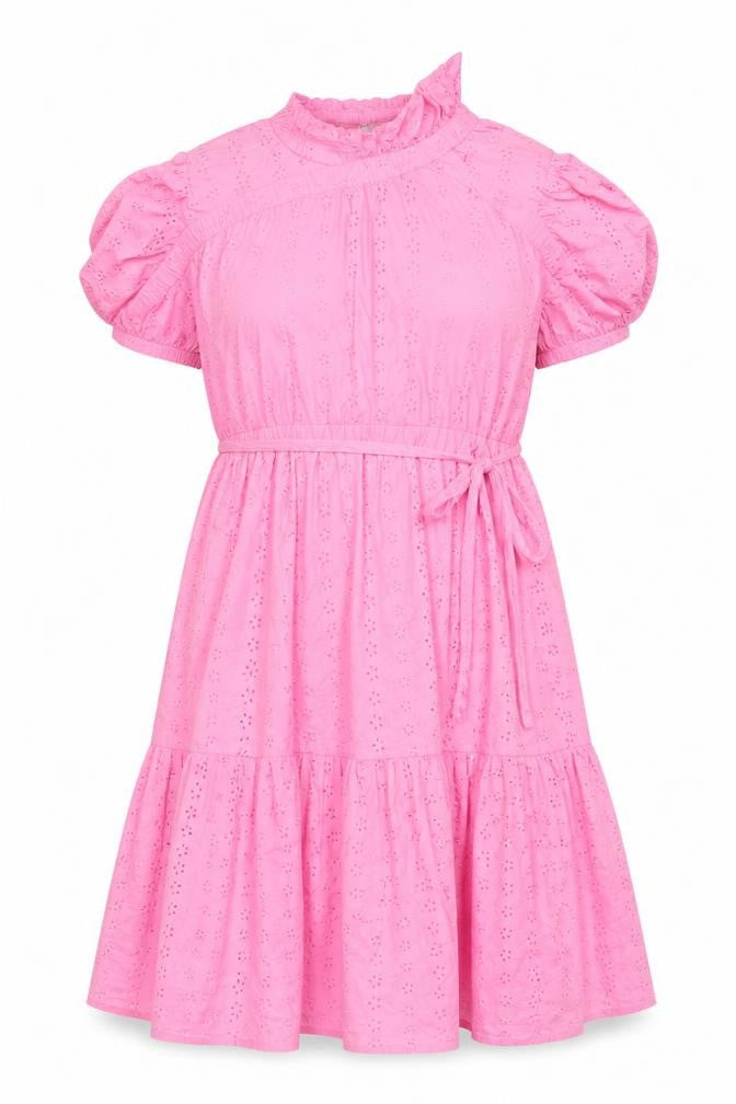 Studio Women Pink UK 16 A-Line Broderie Anglaise Ruffle Dress