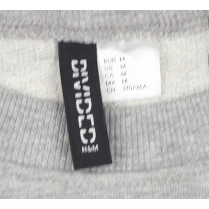 H&M Divided Women's Grey Purple Fringe Love Sweatshirt UK 8 Cropped