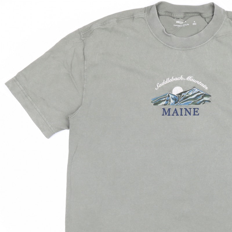 Hollister Men’s Green M Heavyweight Boxy Fit Maine Mountain T-Shirt