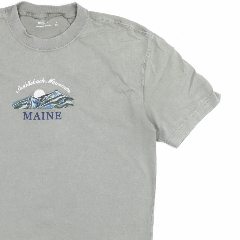 Hollister Men’s Green M Heavyweight Boxy Fit Maine Mountain T-Shirt