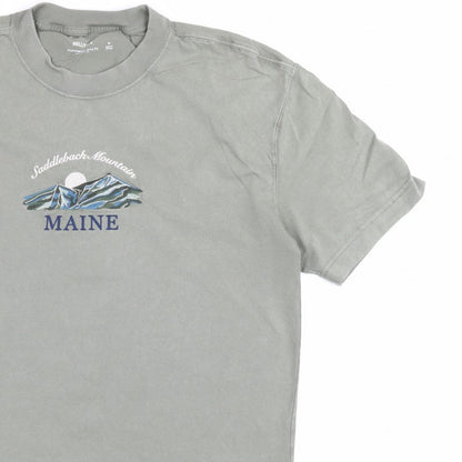 Hollister Men’s Green M Heavyweight Boxy Fit Maine Mountain T-Shirt