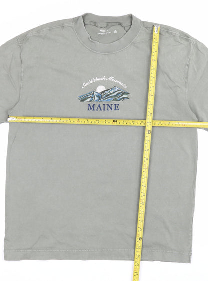 Hollister Men’s Green M Heavyweight Boxy Fit Maine Mountain T-Shirt