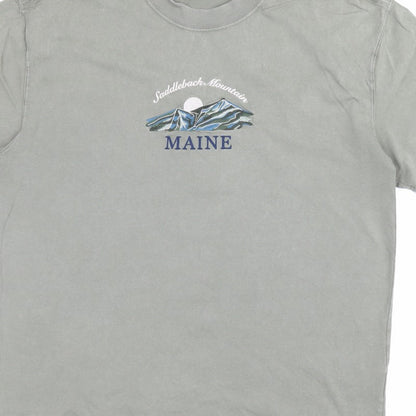 Hollister Men’s Green M Heavyweight Boxy Fit Maine Mountain T-Shirt