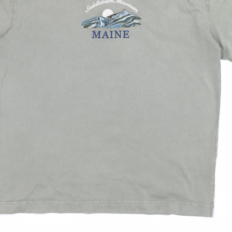 Hollister Men’s Green M Heavyweight Boxy Fit Maine Mountain T-Shirt