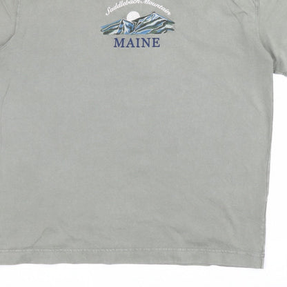Hollister Men’s Green M Heavyweight Boxy Fit Maine Mountain T-Shirt