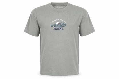 Hollister Men’s Green M Heavyweight Boxy Fit Maine Mountain T-Shirt