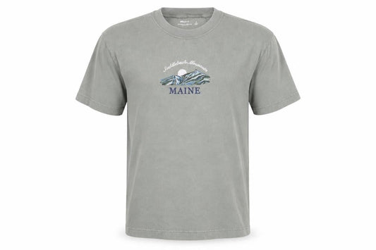 Hollister Men’s Green M Heavyweight Boxy Fit Maine Mountain T-Shirt