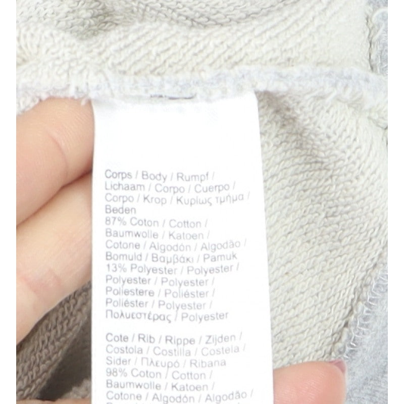 Lacoste Men’s Grey L Pullover Hoodie Crocodile Logo Graphic