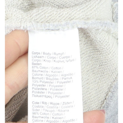 Lacoste Men’s Grey L Pullover Hoodie Crocodile Logo Graphic
