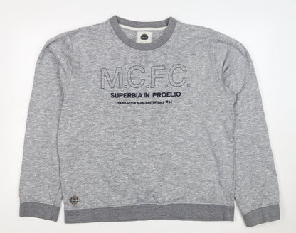 Manchester City FC Men's Grey 3XL Pullover Graphic Sweatshirt