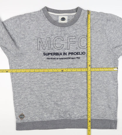 Manchester City FC Men's Grey 3XL Pullover Graphic Sweatshirt