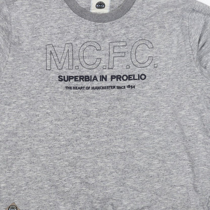 Manchester City FC Men's Grey 3XL Pullover Graphic Sweatshirt