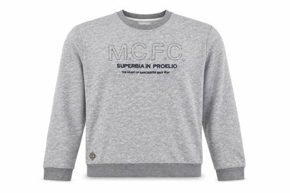 Manchester City FC Men's Grey 3XL Pullover Graphic Sweatshirt