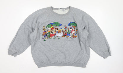 Acme Clothing Co Unisex Grey XL Looney Tunes Graphic Raglan Sweatshirt