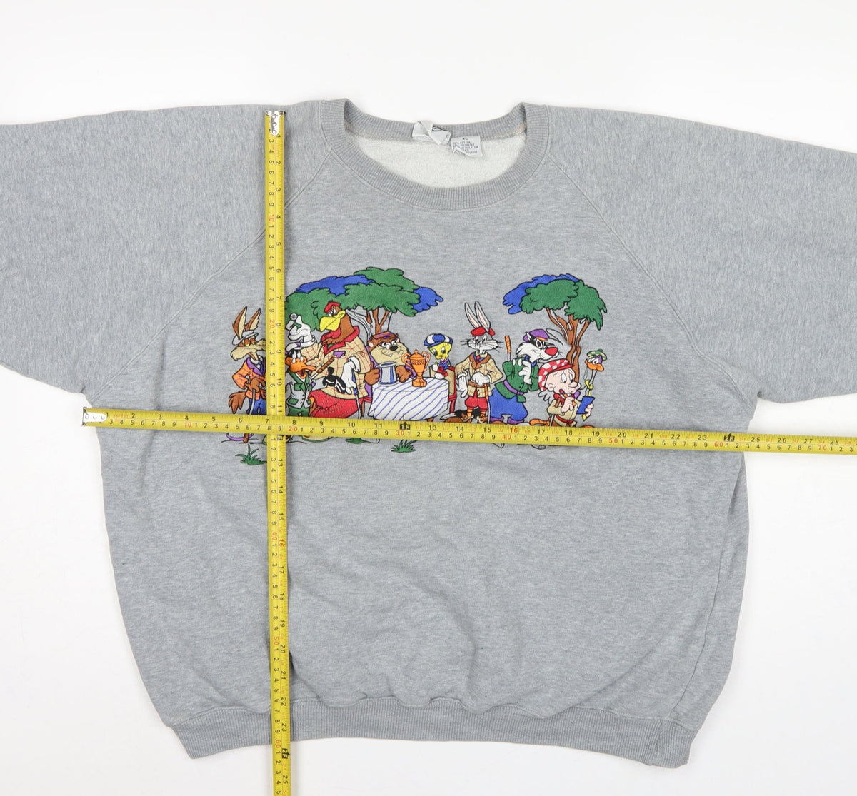 Acme Clothing Co Unisex Grey XL Looney Tunes Graphic Raglan Sweatshirt