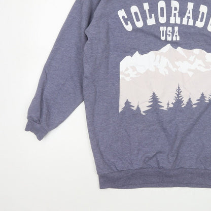 H&M Women Grey S Colorado USA Graphic Fleece Sweatshirt Pullover