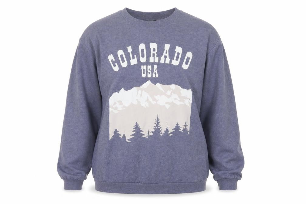H&M Women Grey S Colorado USA Graphic Fleece Sweatshirt Pullover