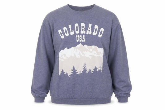 H&M Women Grey S Colorado USA Graphic Fleece Sweatshirt Pullover