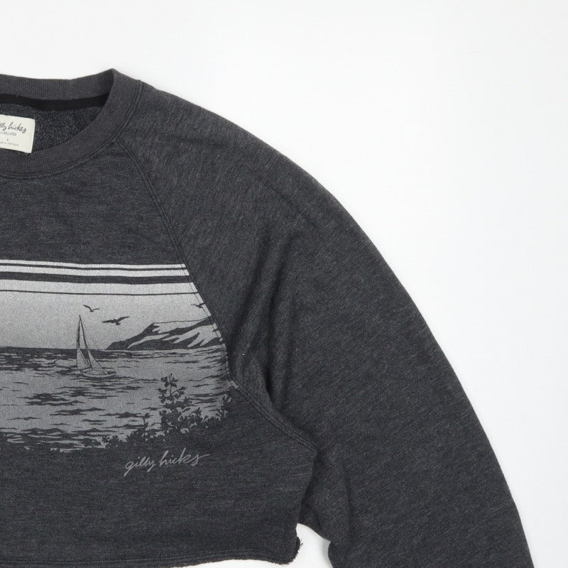 Gilly Hicks Women’s Grey S Cropped Crew Neck Beach Graphic Sweatshirt